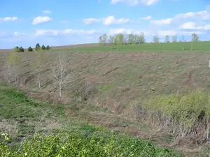 rural landscape with a ditch but few trees