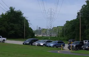 transmission lines in a park