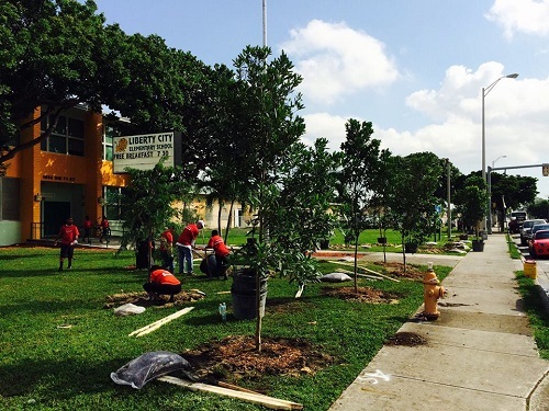 tree planting in front of elementary school tree planting in front of elementary school