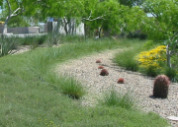 xeriscape garden