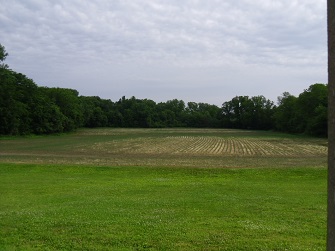 Annexing Different for Open Fields Compared to Dilapidated Buildings meadow, row crops, and hedge row at edge of a small town
