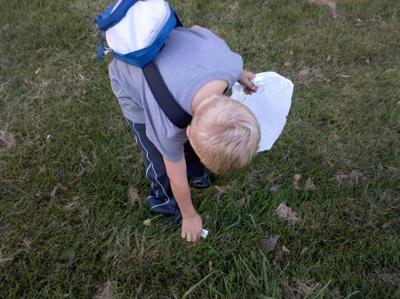 giving the park back to nature