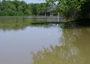 Wabash River out of its banks between Indiana and Illinois