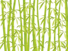 bamboo, a common material in new houses aiming for sustainability bamboo, a common material in new houses aiming for sustainability