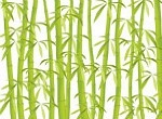bamboo themed graphic