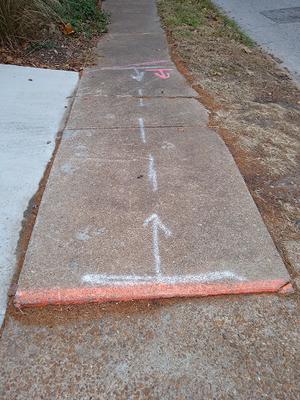 Sidewalk has been pushed up by tree roots