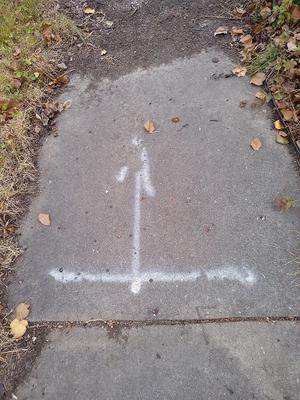 Sidewalk subsided because of dead street tree