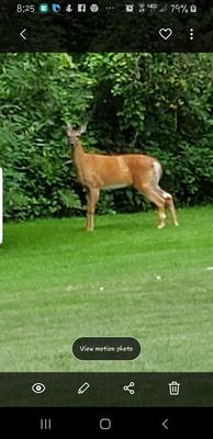 One of what we'd like to save