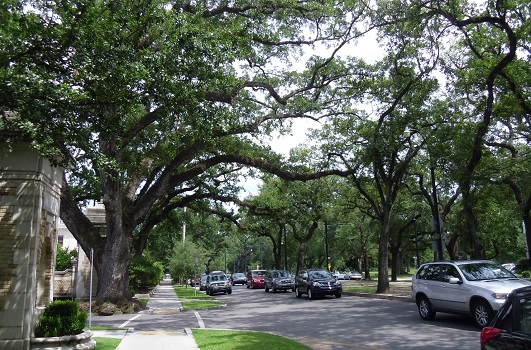 neighborhood traffic volume can stifle walkability, especially walking opportunities for young children wide residential street, New Orleans, showing both considerable traffic and high demand for on-street parking