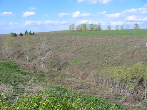 rural landscape with a ditch but few trees