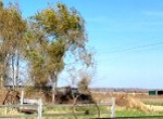 abandoned farm machinery in a field