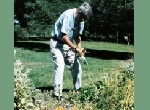 older gentleman working on flowers in park