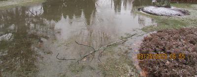 Flood caused by neighbor's illegal regrading
