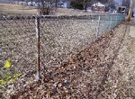 chain link fence near a subdivision of fifties houses