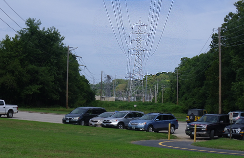 transmission lines in a park