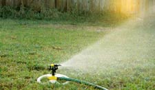 running sprinkler at sunrise for water conservation